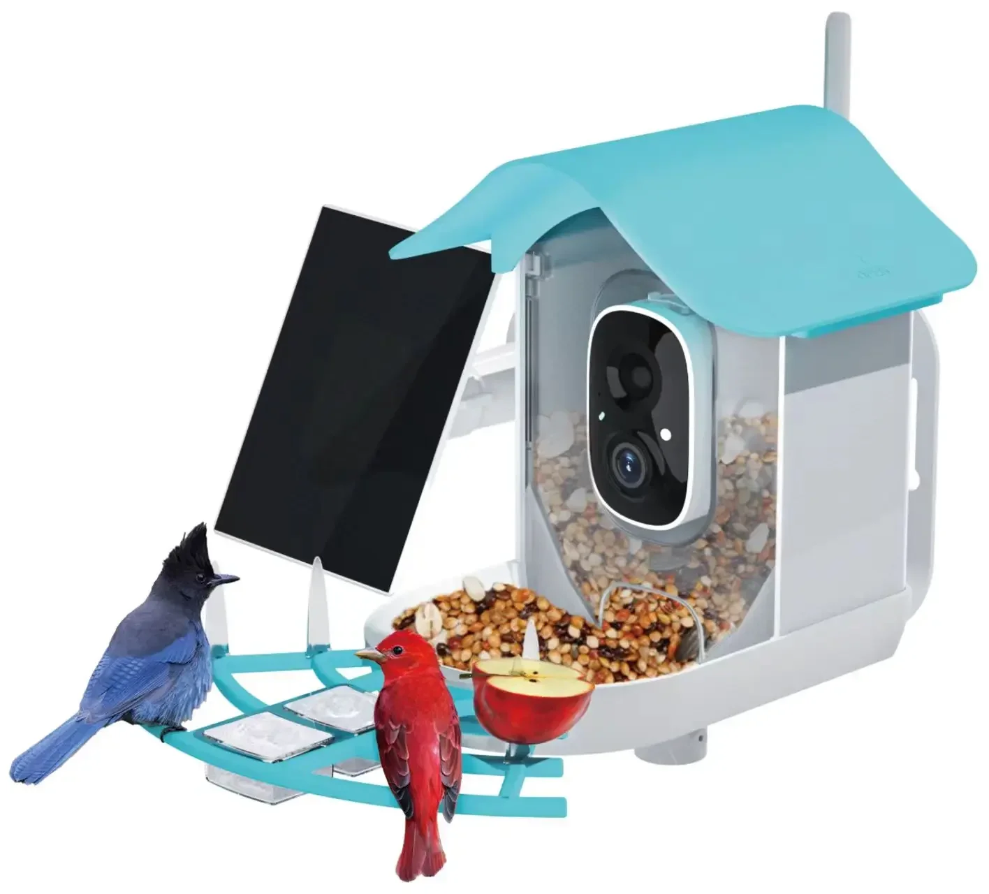 Hot selling AI Smart outdoor Bird Feeder WIFI Solar Charging Identify Bird Species Auto Capture Videos Bird Feeder with Camera