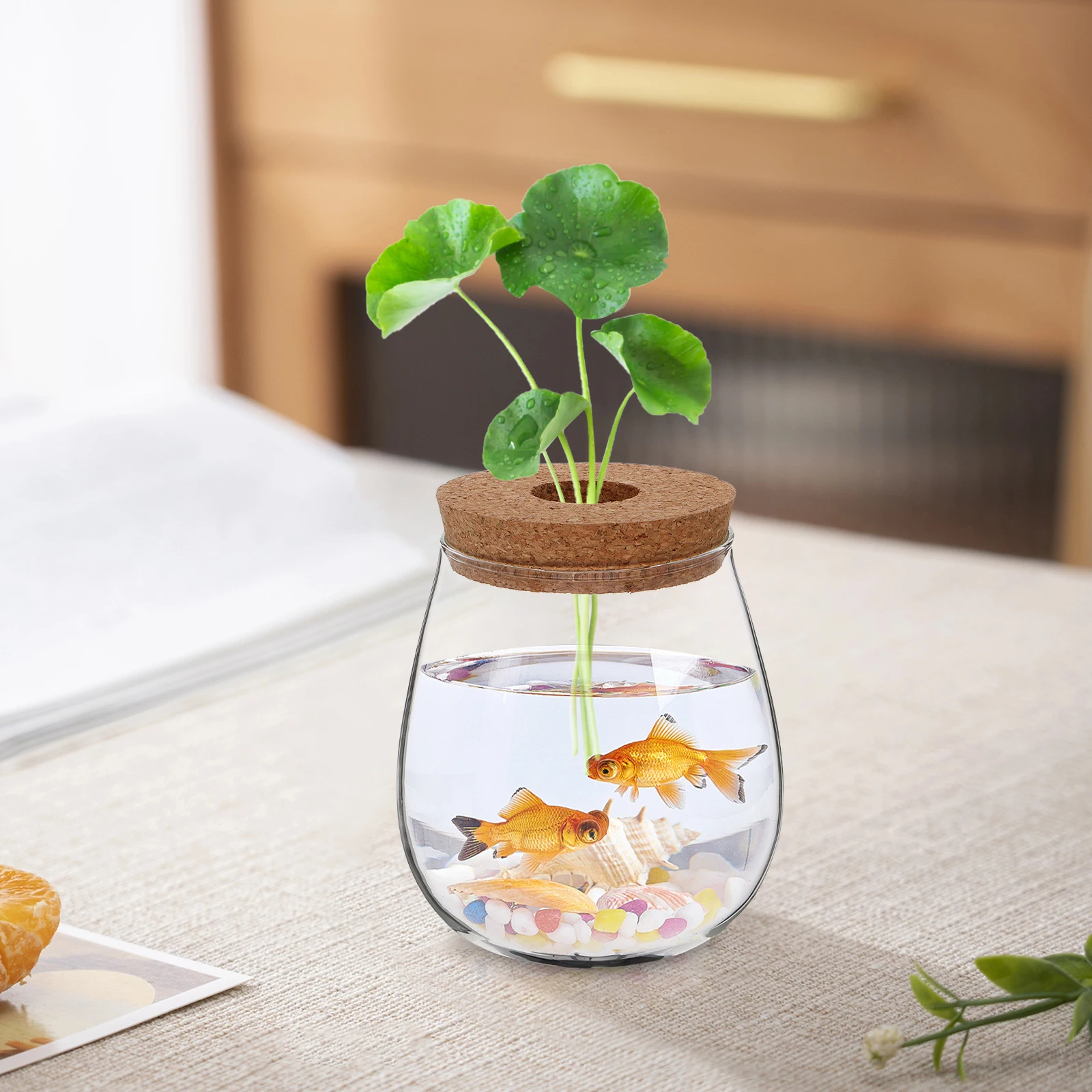 

Creative Hydroponic Glass Vase Transparent Desktop Propagation Planter Elegant Hydroponic Flower Vase for Greenery