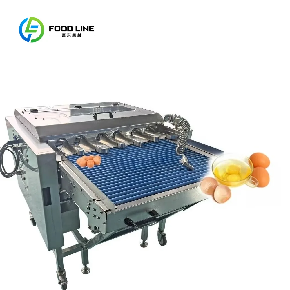 Fully Automatic Liquid Egg Separator & Breaker Machine Custom Egg Washing and Packaging Processing Line