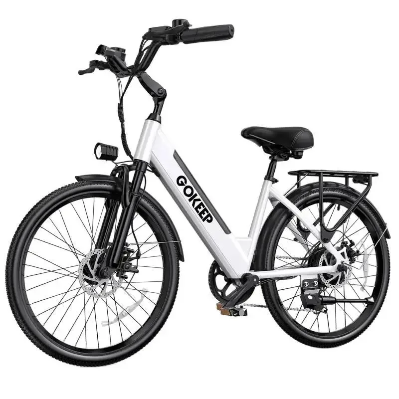26-inch fashionable E-Bike, 600W brushless motor 48V-10.4ah lithium battery electric moped, adult electric bicycle view 2