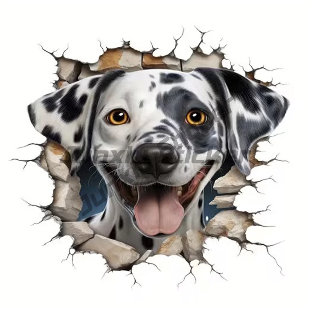 Adorable Dalmatian Puppy Peeking Through Cracked Sticker, Self-Adhesive Vinyl Decal, Used for Car Windows, Bumper, Laptops