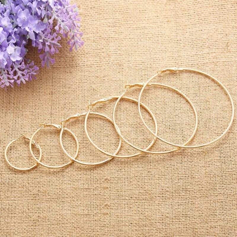 2pcs 30-100mm Small Big Circle Hoop Earrings for Women Men, Stainless Steel Ear Ring Fashion Jewelry Gift Nightclub DJ