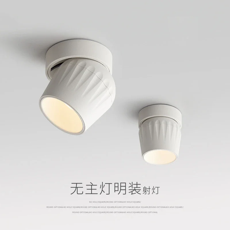 

Personalized Spotlight LED Ceiling Lamp Home Study Restaurant No Main Light Living Room Bedroom Aisle COB Ceiling Downlight