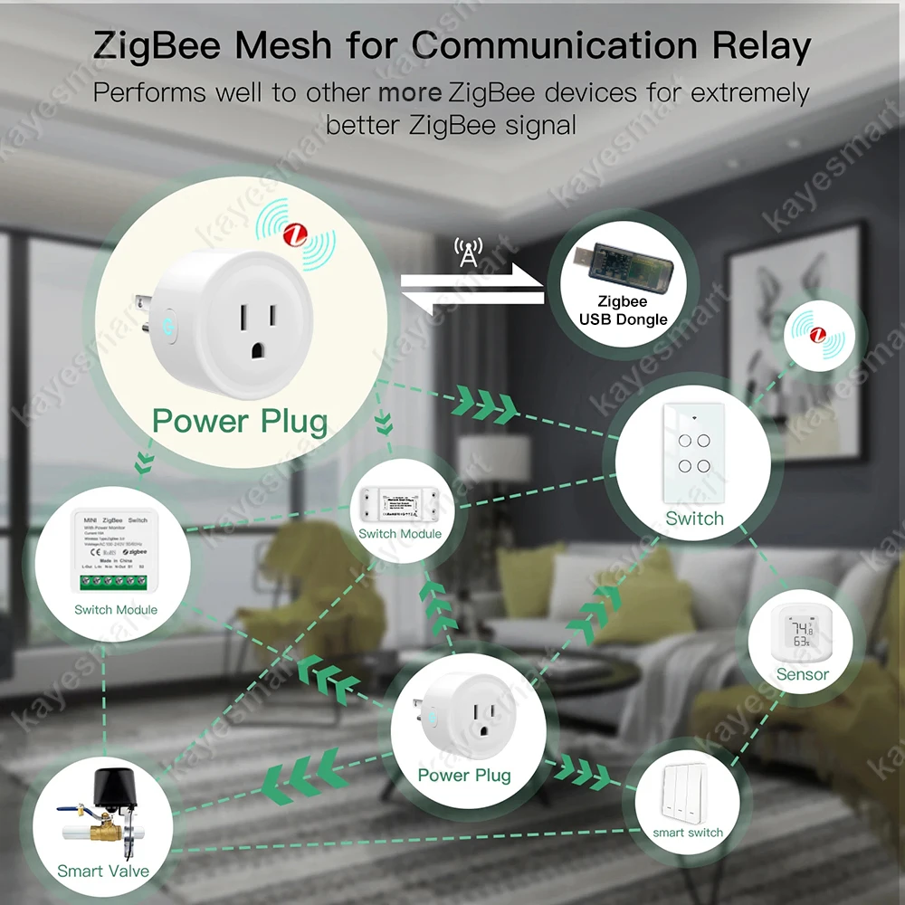 Home Assistant Zigbee Socket US Smart Plug 20A Home Outlet Adapter with Power Monitor APP Control Support Alexa Zigbee2MQTT ZHA
