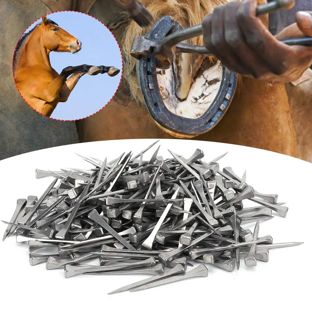 250pc E2-E6 Horse Shoe Nails Horse Training Equestrian Harness Repair Hoof Nails Palm Horse RidingSupplies Equestrian Equipments