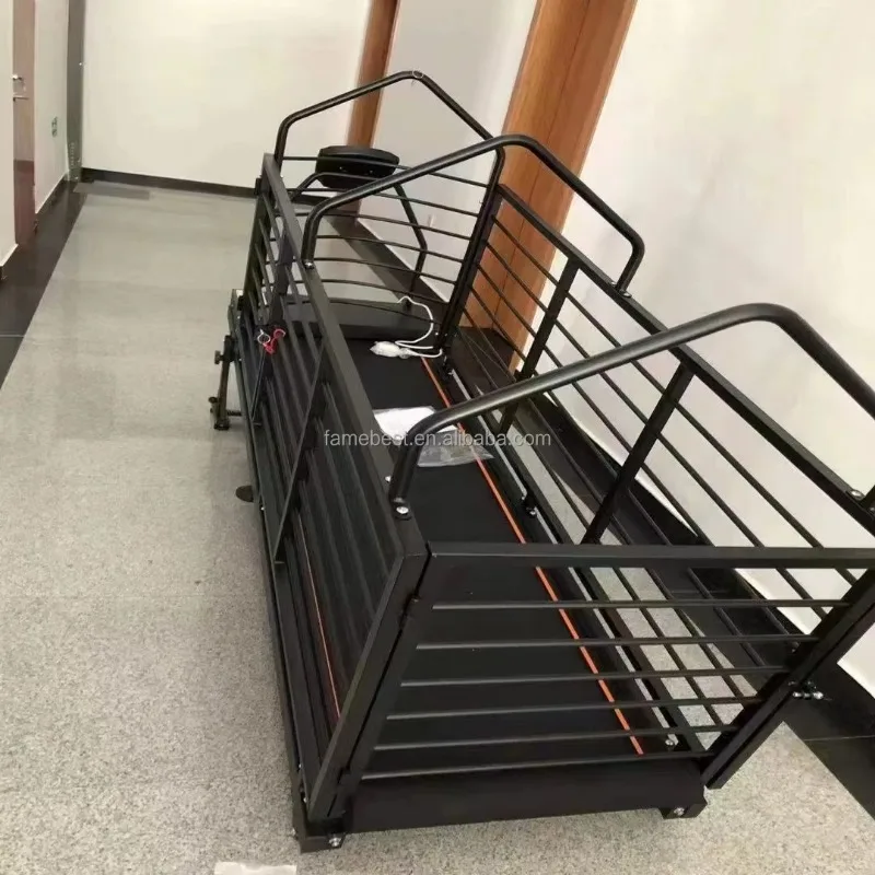 Cinta de correr para perros y mascotas, máquina de entrenamiento para correr con LCD, cinta de correr interior, juguete deportivo para mascotas