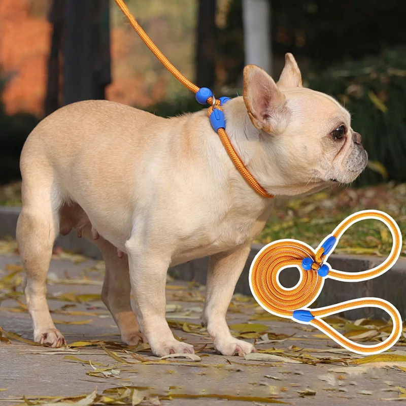 

150cm Durable Dog Training Leash Escape-proof Adjustable Lightweight Nylon P-Rope Collar for Small Medium Dogs Pet Walking Rope