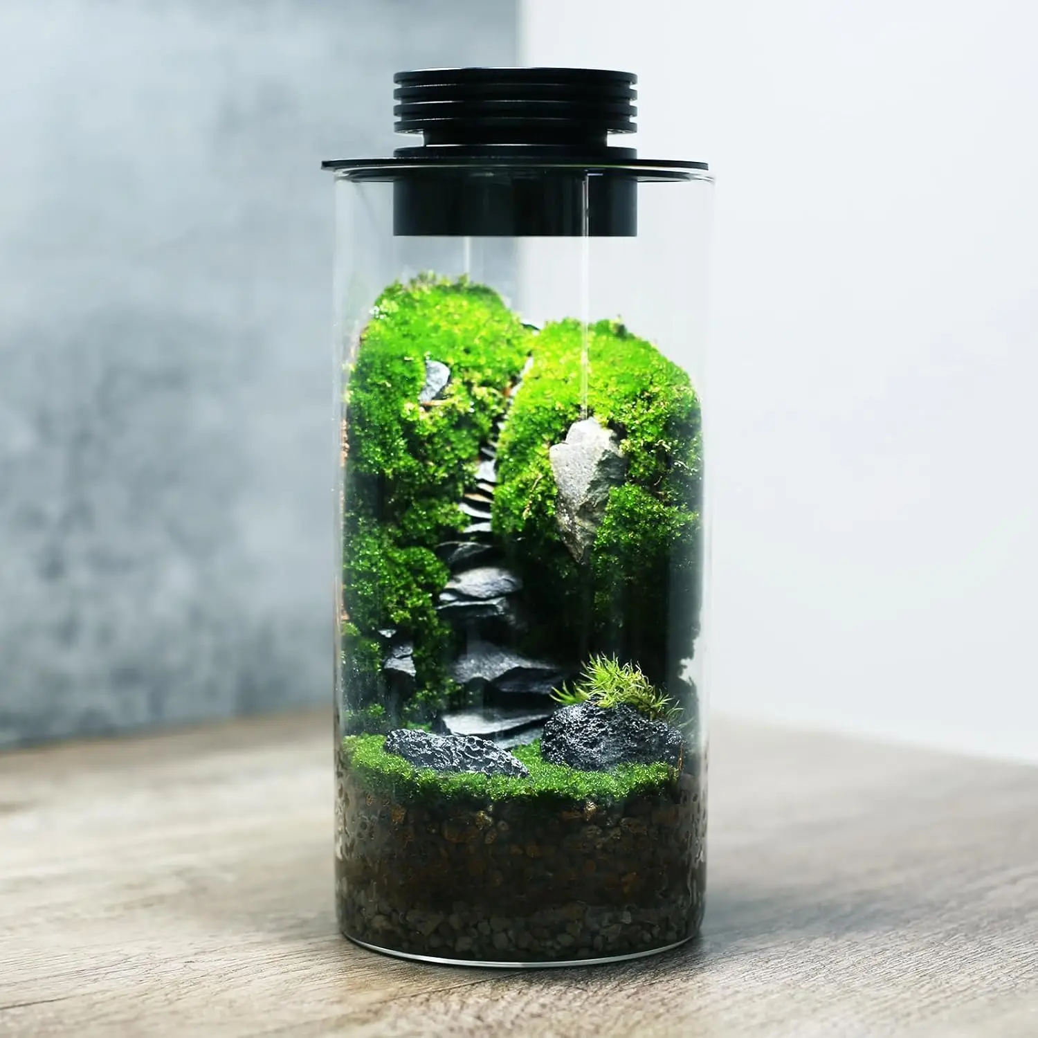

Glass Plant Terrarium with LED Grow Light, 7.8" H x 4" D, for Succulents, Moss, Mini Garden, Betta Tank, Home Decor