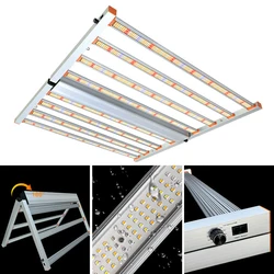 Full Spectrum LED Grow Light, UV, IR, plantas de interior com corrente de margarida, escurecimento 0-10V, comercial, crescimento hidropônico