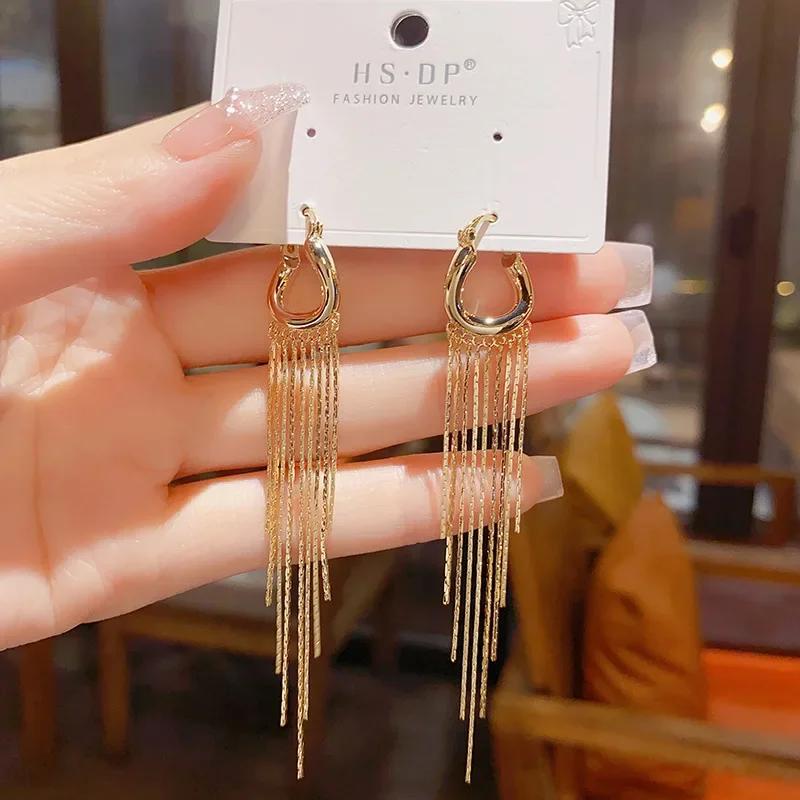 Korean Style Fashion Temperament High-end Feel Long Tassel Niche Design Light Luxury Earrings for Women.