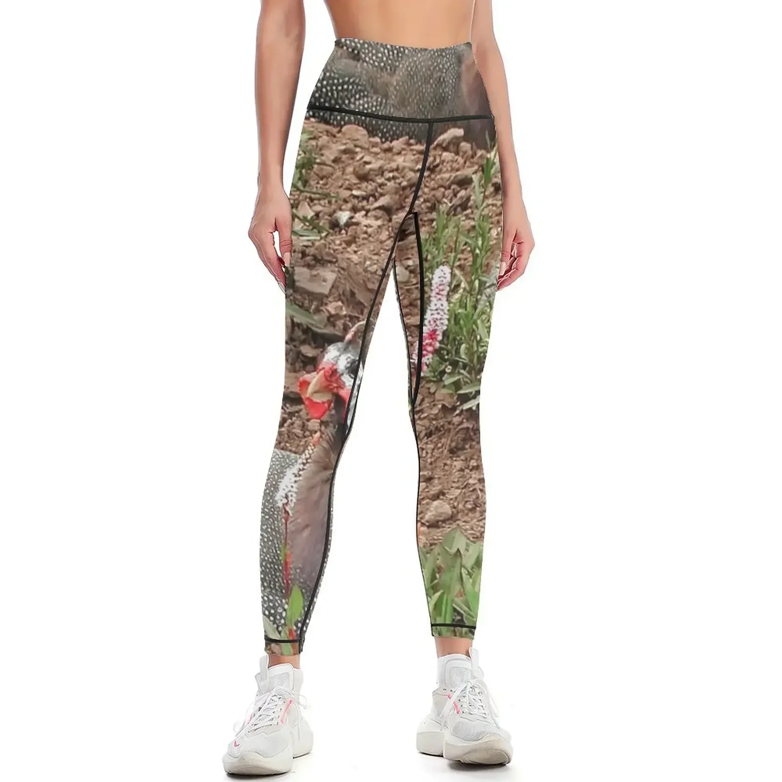 

Guinea Fowl Leggings push up tights for active wear sports for gym sports for push up Womens Leggings