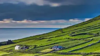 

Сборочная линия SMT T962 Настольная SMD инфракрасная печь для пайки горячим воздухом с оплавной волной для сварки печатных плат