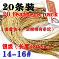 20pcs silver ginger