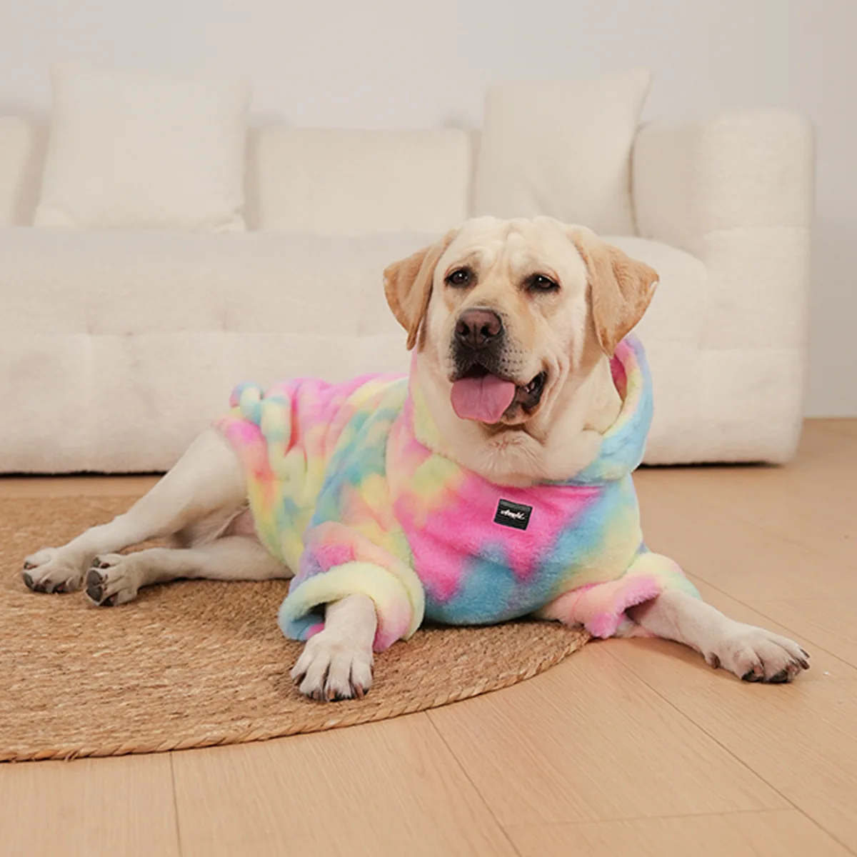 Winter cross-border popular pet hoodie tie dyed rabbit hair rainbow dog hoodie