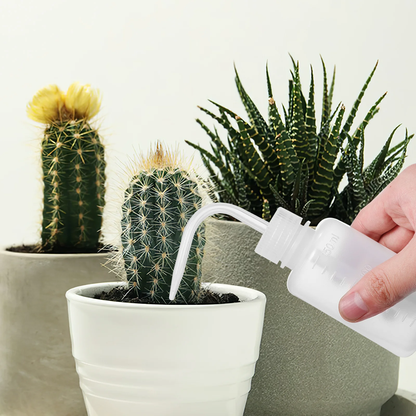 3 Pcs Plastic Wash Bottle Small Containers Sauce Squeeze Plant Eyelash Succulent Watering Bottles or Washing for Indoor Plants