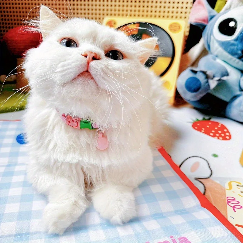 Modisches Sicherheits-Katzenhalsband, elastische Stretch-Halsbänder, leicht für Kätzchen, Hals für alle Katzen, mit Macaron-Ball-Haustierzubehör – Detail 3