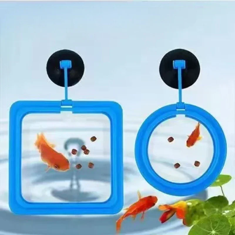 Fish Food Feeding Ring, Floating Station, Food Tray Feeder, Aquarium Feeding Device, Anti-diffusion Feeding Ring, 1Pc