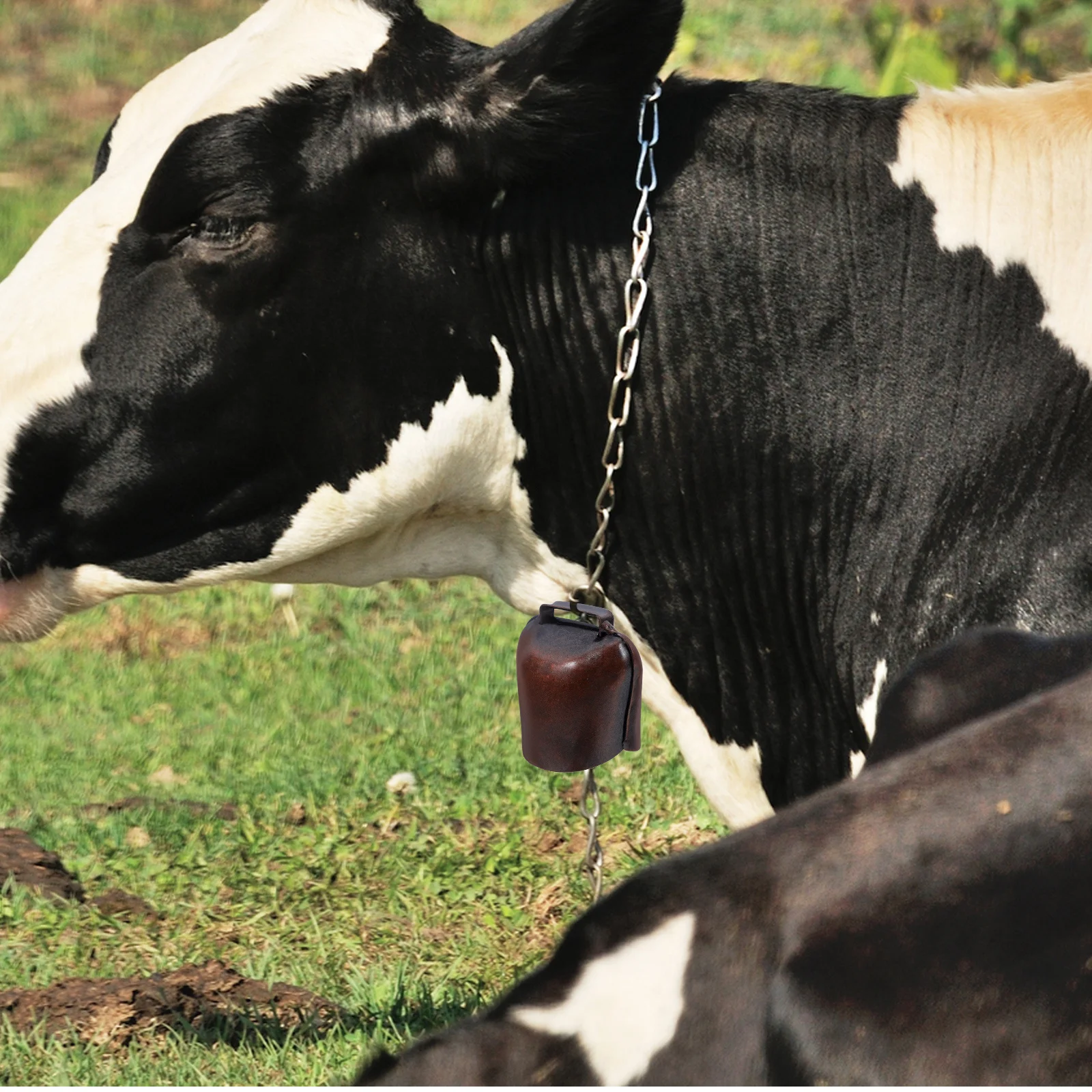 

2pcs Small Thickened Iron Cow Bells For Sheep Horse Anti-Lost Alarm Bell Farming Grazing Supplies Bell Pendant Ornament