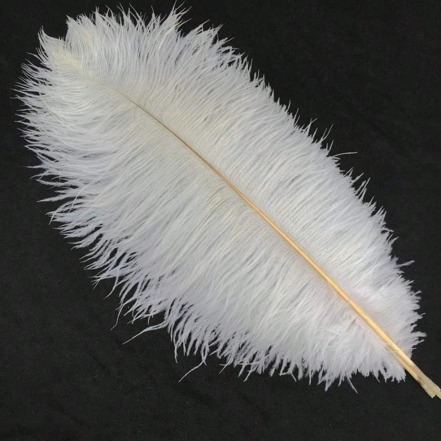 الأبيض 45-50 سنتيمتر ريش النعام أعمدة كبيرة الطبيعية لزهرية حفل زفاف محور ديكورات المنزل ريشة لوازم الحرفية #2