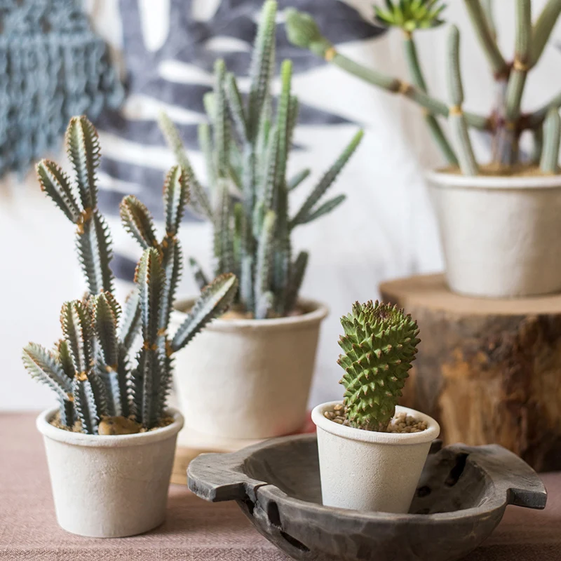 Plantas artificiales de Cactus bonsái, plantas falsas con maceta, adornos en maceta para sala de estar, dormitorio, accesorios para el hogar, decoración