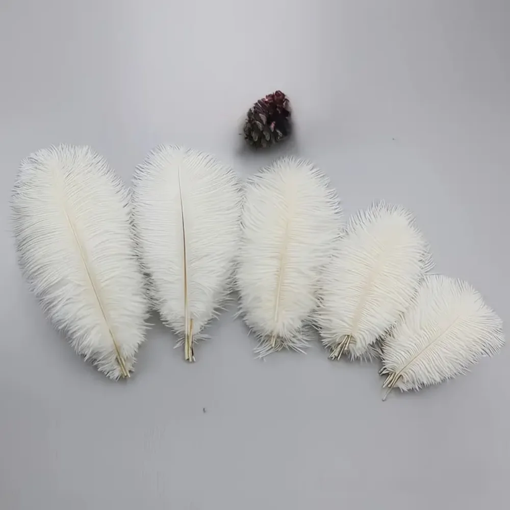15-40 cm Large Ostrich Feathers 10pcs Natural Decorative Feathers For Wedding Floral Arrangements Carnival Costume Hat Deco