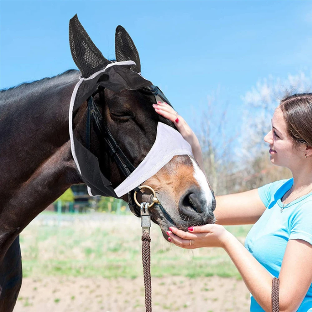 Maschere per cavalli multicolori Anti-Flyworms traspirante elastico lavorato a maglia + Mesh Anti Mosquito Protect Mask Riding equestre Equipment