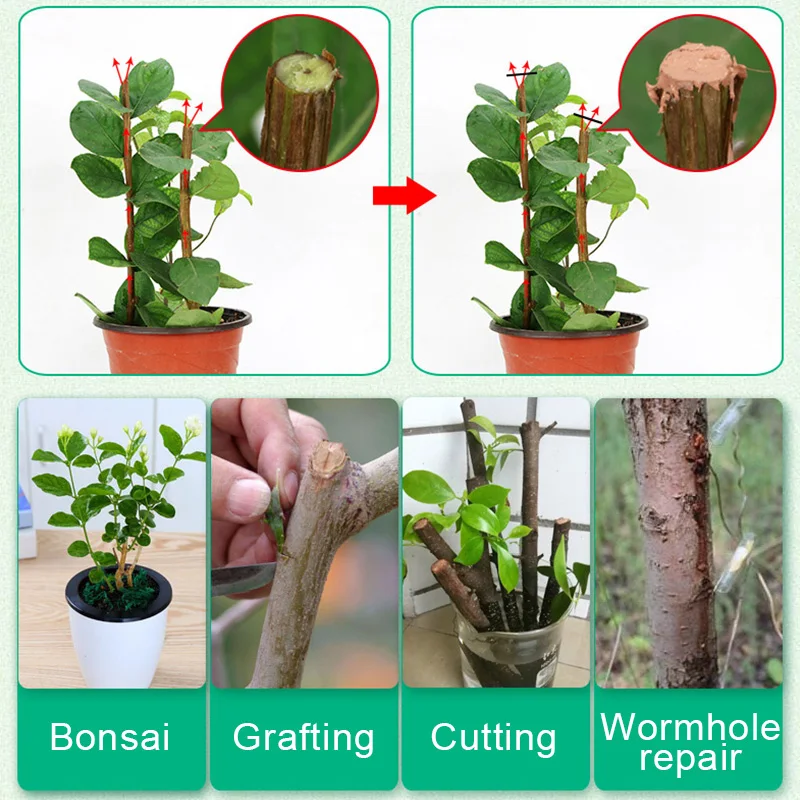 Bonsai Pruning Cutting Paste Compound Tree Sealer Grafting Sealant for Garden Wound Treatment Accessories  Portable 50g Compound