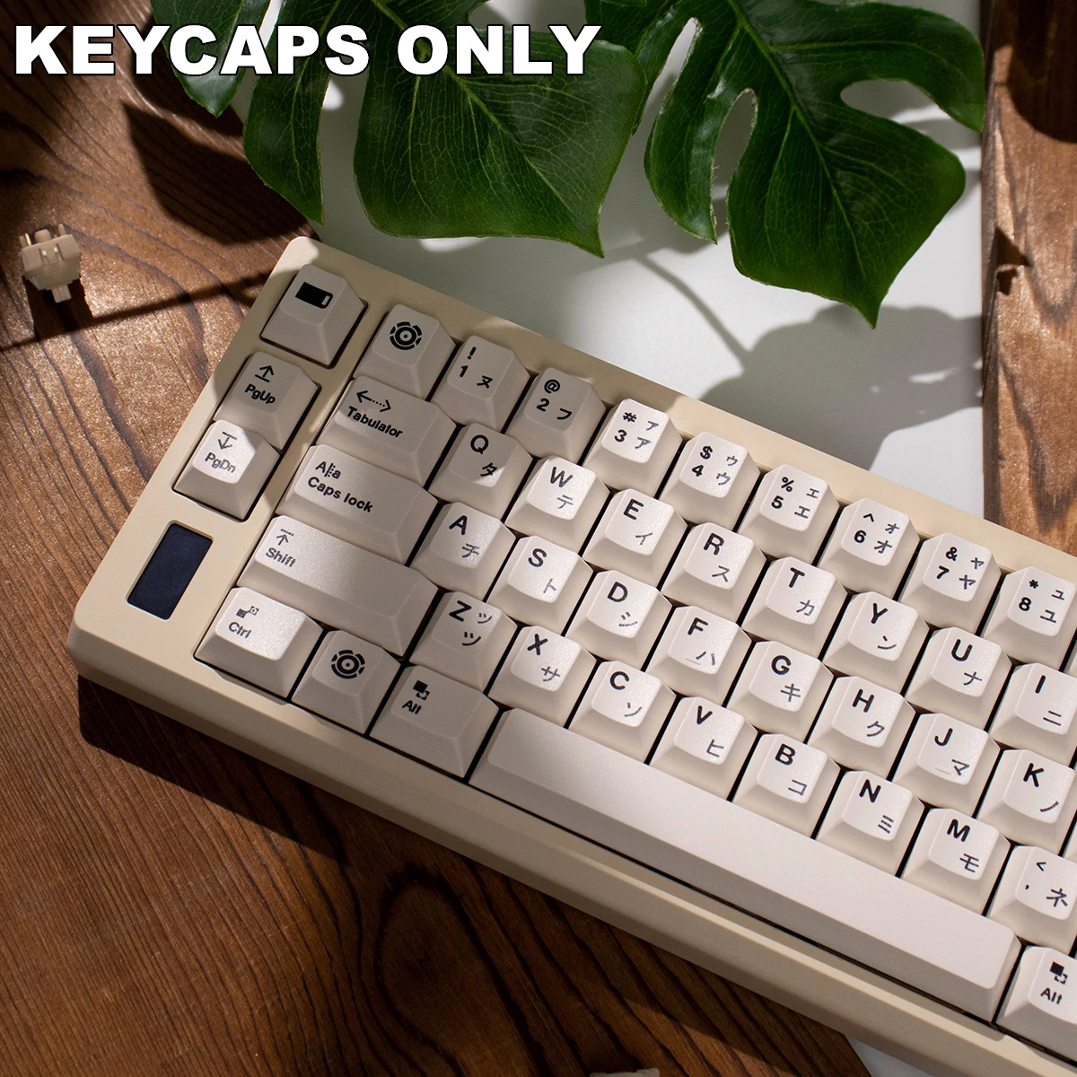 148 Keys Braun White Japanese PBT Keycaps Cherry Profile Dye-Sublimated Keycap Set for Mx Cherry Switch Mechanical Keyboard Kit