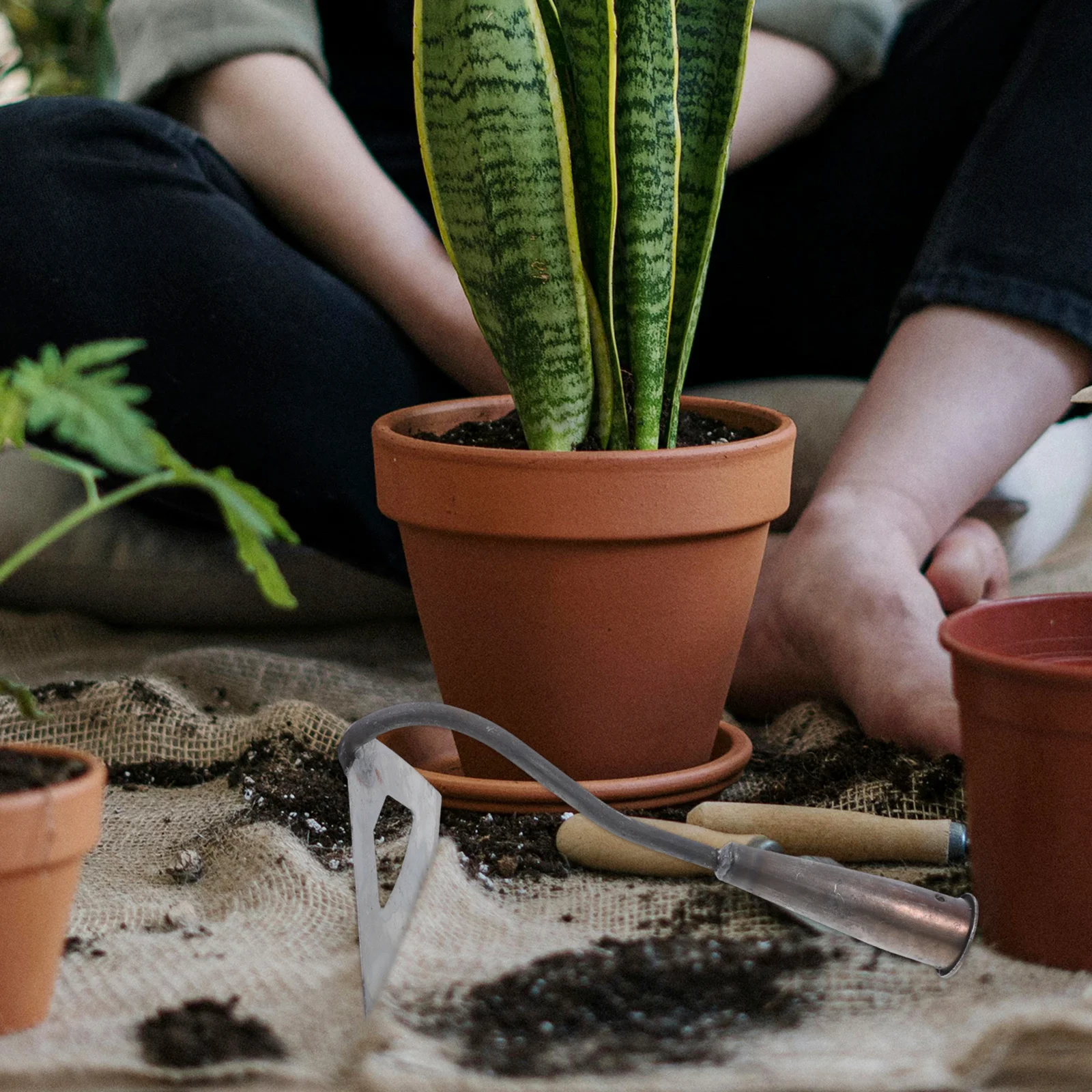 

Heavy Duty Hardened Hollow Hole Garden Hoe Head Efficient Weeding Tool Easy Planting Small Garden Cultivating Tool