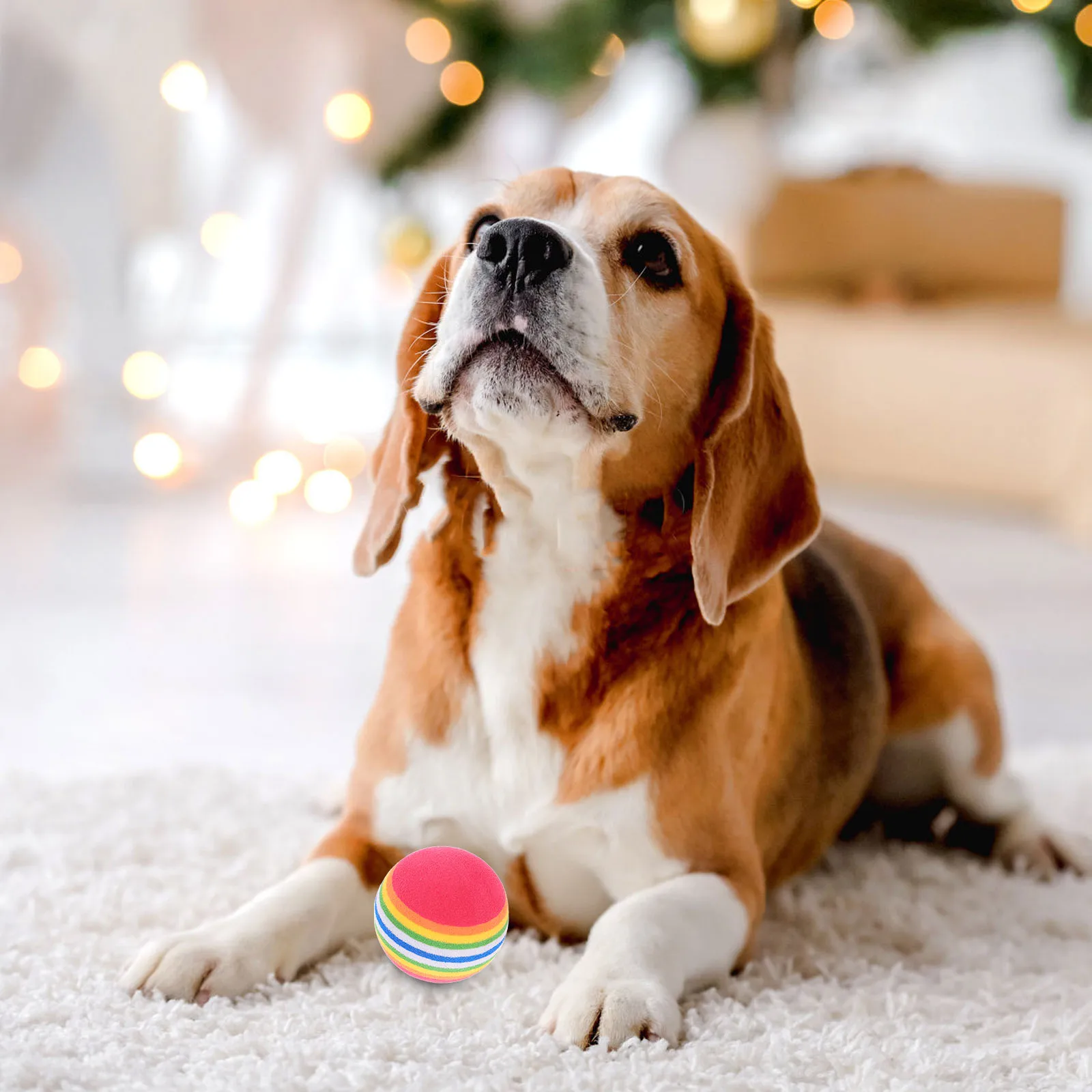 

10pcs Floating Rainbow Ball Toys EVA Material Vibrant Colors Lightweight for Small Dogs Cats Pet Fun Chew Training Teething