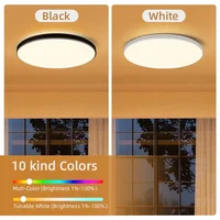 Modern Ceiling Lamp With Remote Control Room Decor Dimmable RGB LED Ceiling Light Fixture For Living Room Bedroom Corridor 4