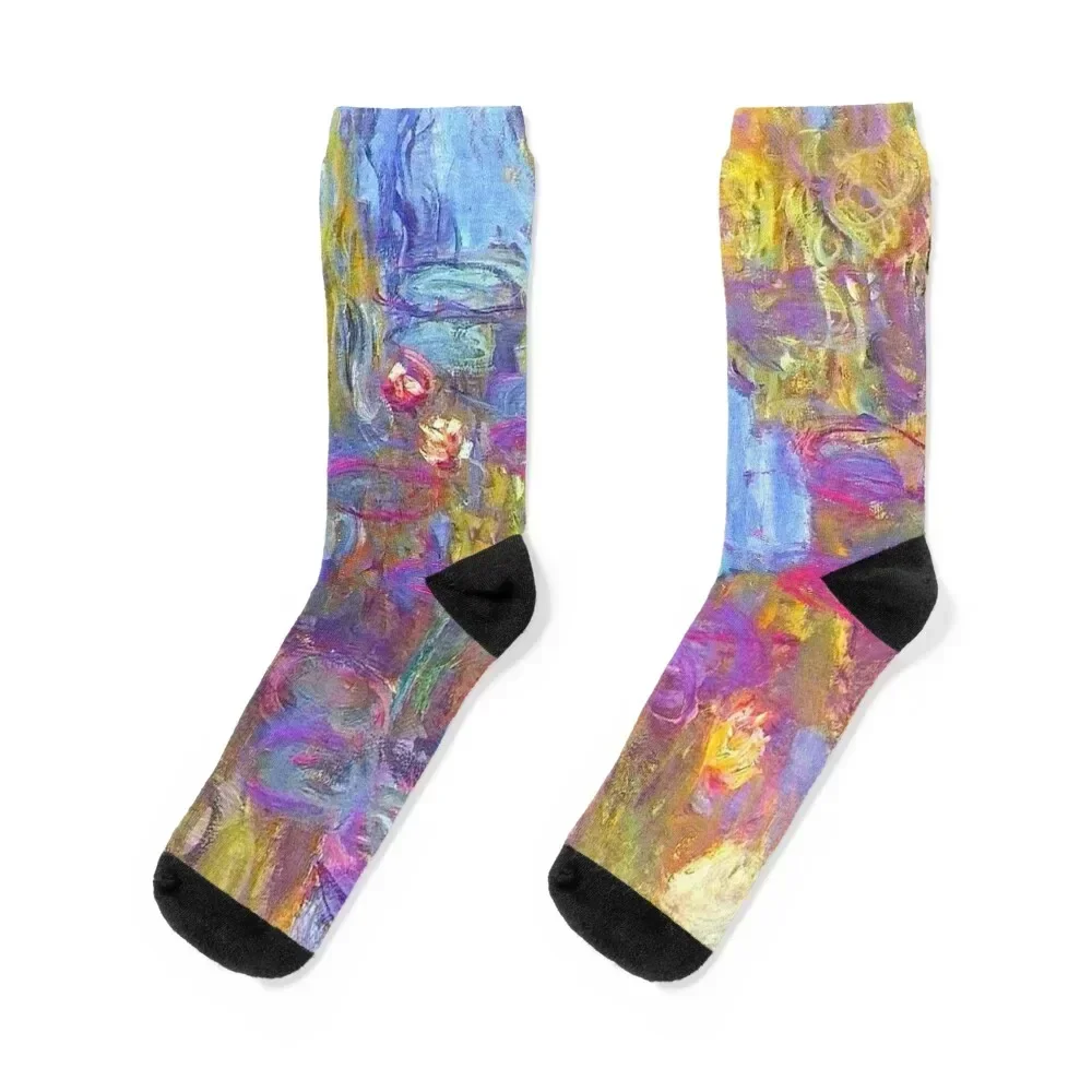 Water Lilies Monet colorful Socks Crossfit set Non-slip loose Socks Female Men's