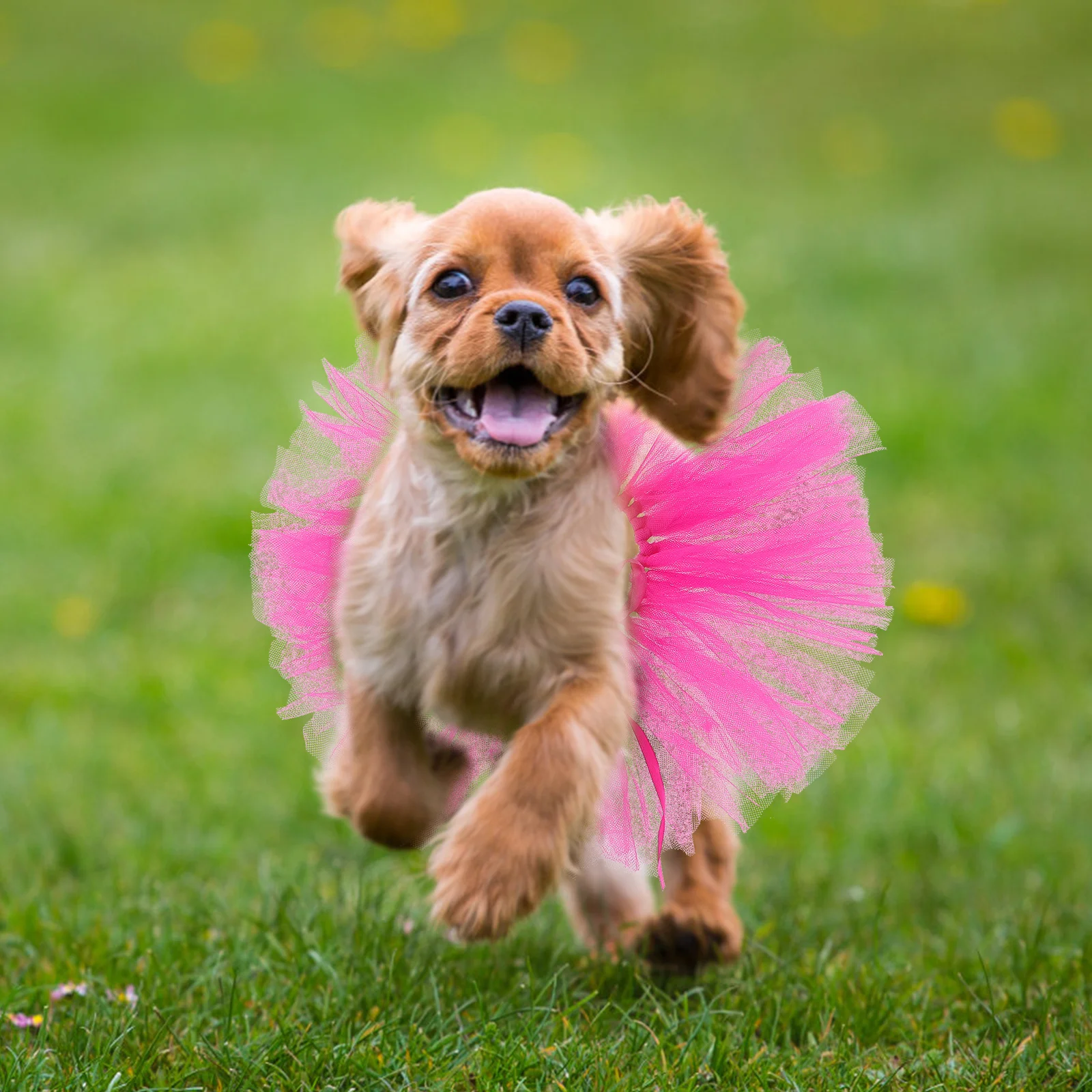 

1Set Pet Tutu Skirt Crown Set Fashion Gauze Design Festival Party Dress Dog Clothes Puppy Costume Pet Skirt Dog Tie