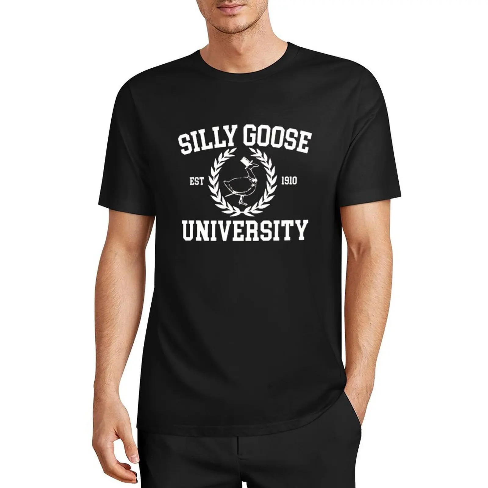 Silly Goose University T-Shirt shirts graphic tees plus size tops heavyweights plain white t shirts men