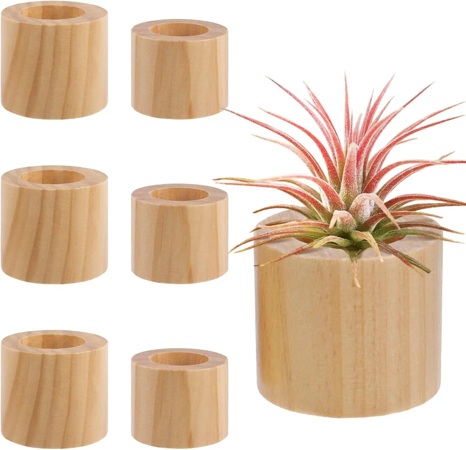 

6 Pcs Wood Air Plant Holder - 1.2" & 1.4" Rustic Display Stands for Women Gifts