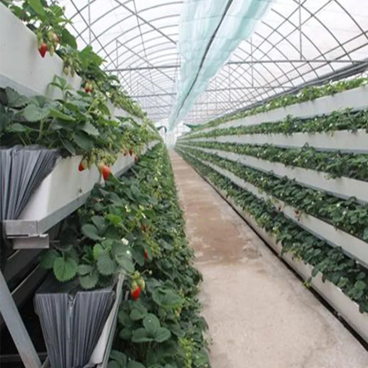 Vertical Farming Equipment Indoor Hydroponic System Plant Growing Rack Agricultural Serre Agricole Invernadero