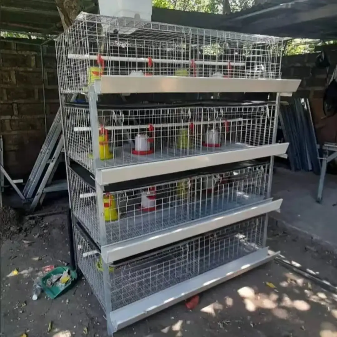 Industrial Scale H-Type Broiler Battery Cage :: 4-Tier Cold Galvanized Steel Housing