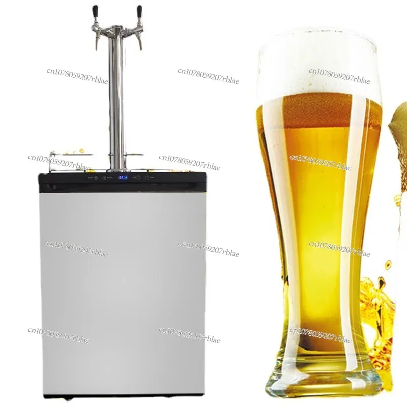 Dual-Head Beer Dispenser: Brew Freshness with A Compact, Commercial-Grade Draft Beer System!