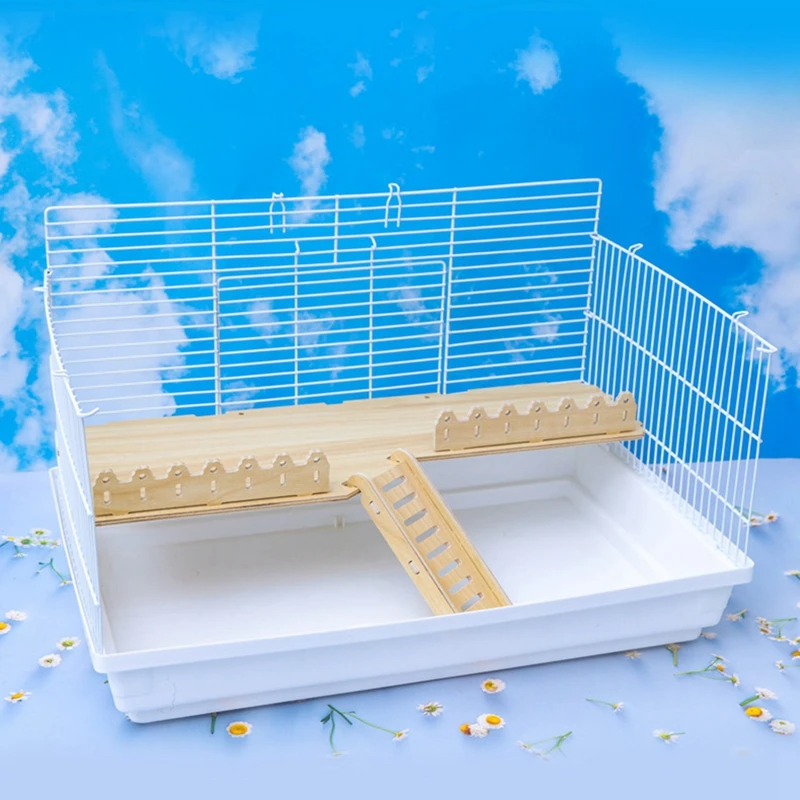 Thumbnail 2 - #8 Trending Hamster Habitats Right Now