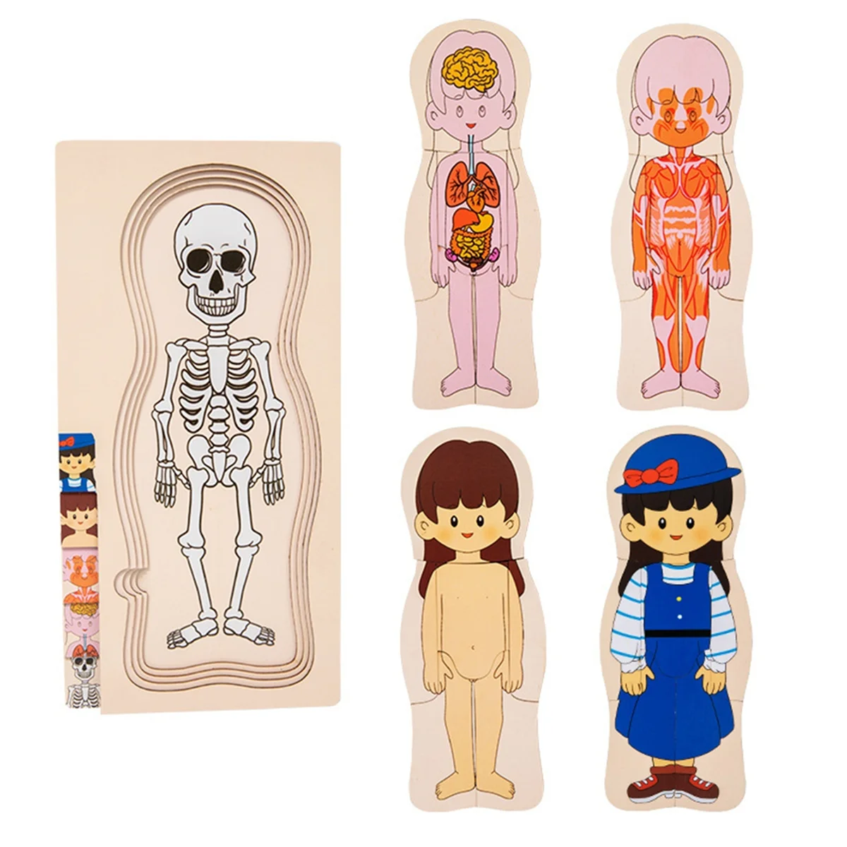 

X55A-Wooden Human Body Structure Puzzle Children'S Multi-Layer Plane Puzzle Early Childhood Education
