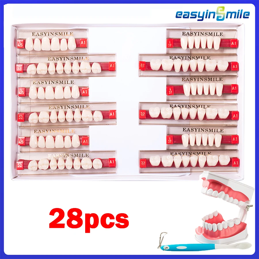 

16/12 Sets/ Box Dental Denture Teeth Upper Anterior Lower Posterior Teeth acrylic A2 A3 2 layers Dental Education Model