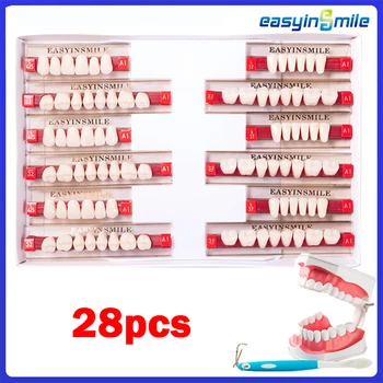 16/12 세트/박스 치과 틀니 치아 상부 전치 하부 후치 아크릴 A2 A3 2 레이어 치과 교육 모델