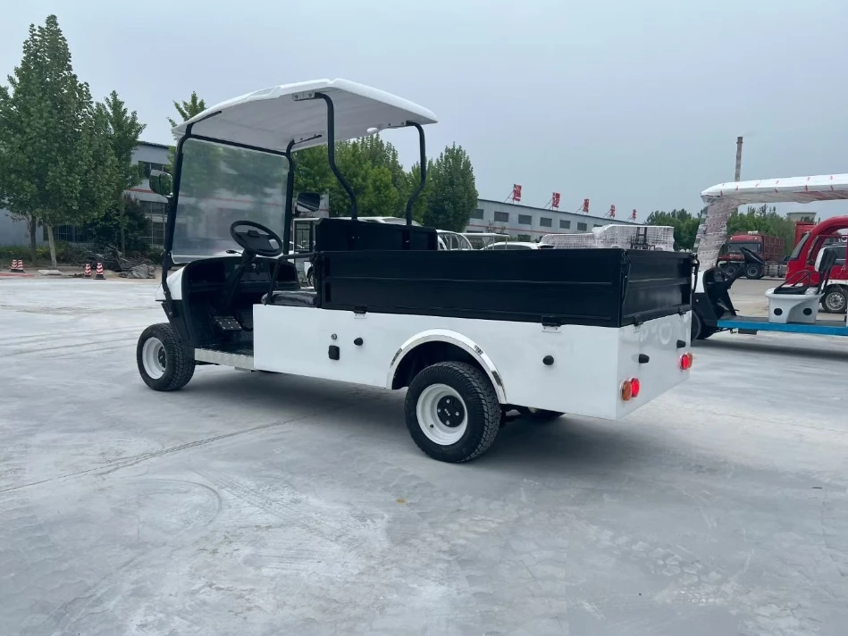 شاحنة عربة جولف كهربائية بمقعدين مع دلاء شحن 48 فولت 60 فولت 5 كيلو وات محرك فولاذي متوافق مع سيارة النادي