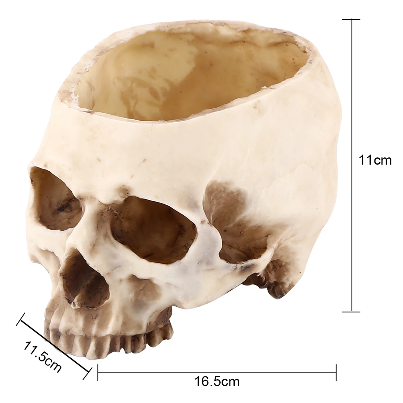 Resin Skull Head Design Flower Pot Planter Container Decoration Skull Container Skull Pot Skull Plant Pot Skull Flowerpot gallery 5