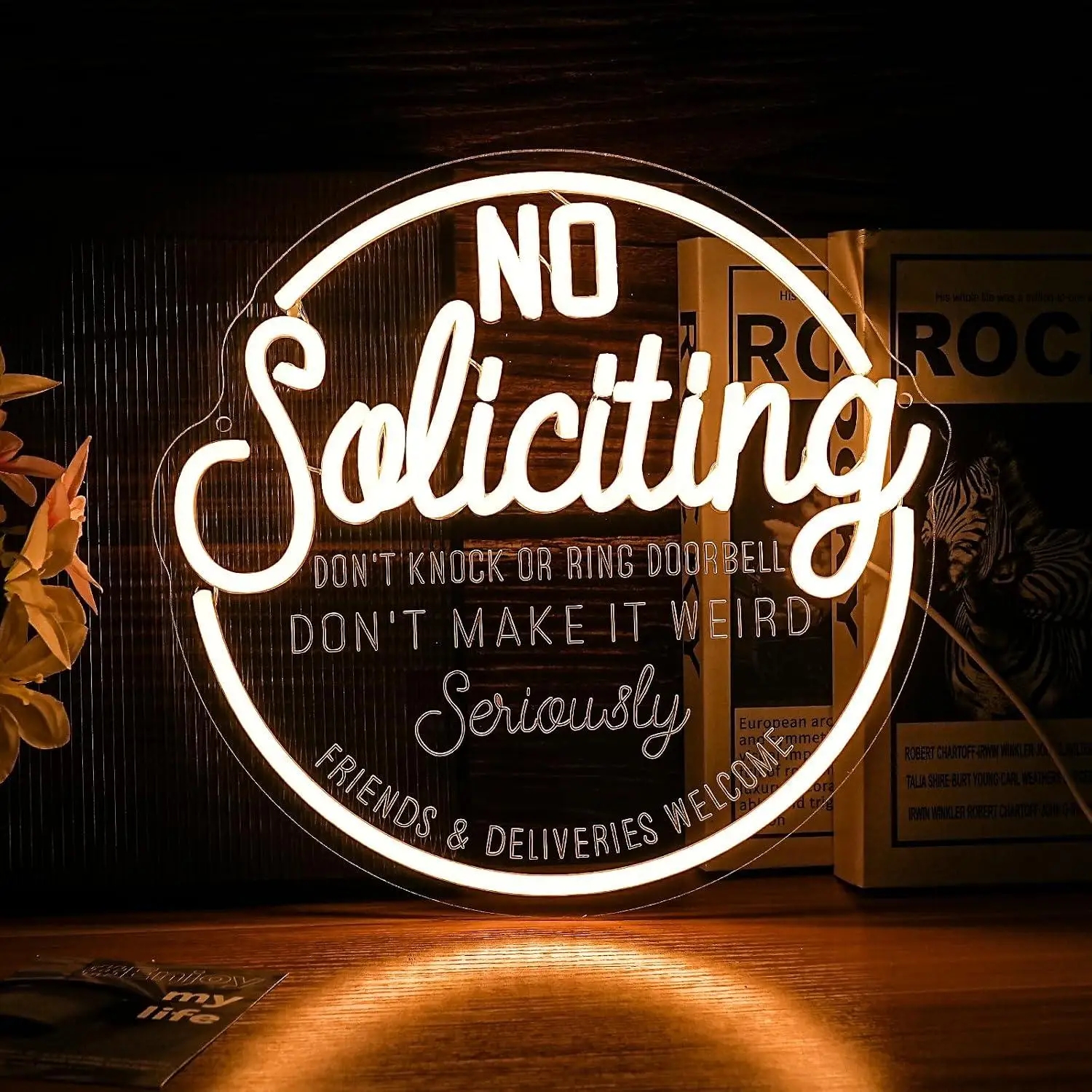 No Soliciting Neon Sign USB Dimmable LED Lights For Shop Salon Spa Office Cafe Barbershop Reception Front Window Wall Decoration