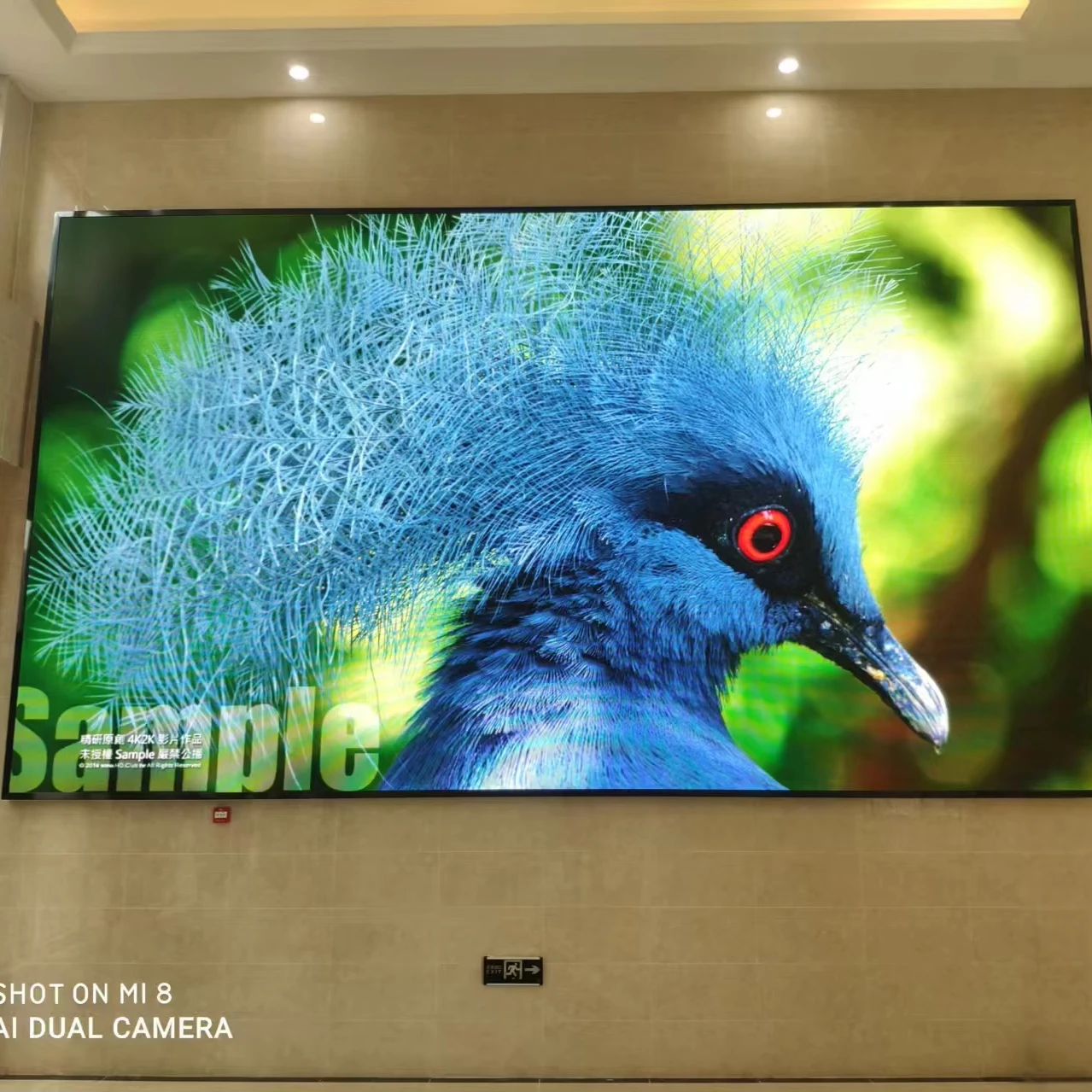 Indoor Home Cinema LED Display 2.5mm Video Wall P2.5 Screen Animation Support for Retail Store Shopping Mall Film Education