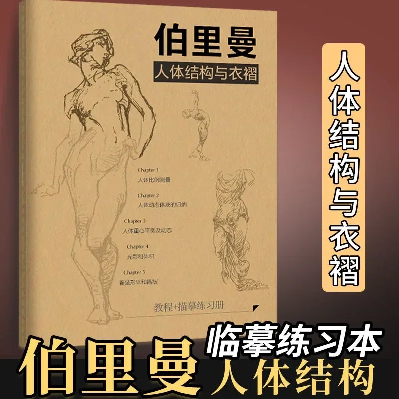 Characters Structure Drawing Sketchbook Bridgman Human Body Structure Instruction Tutorial Books Human Head Torso Practice Books