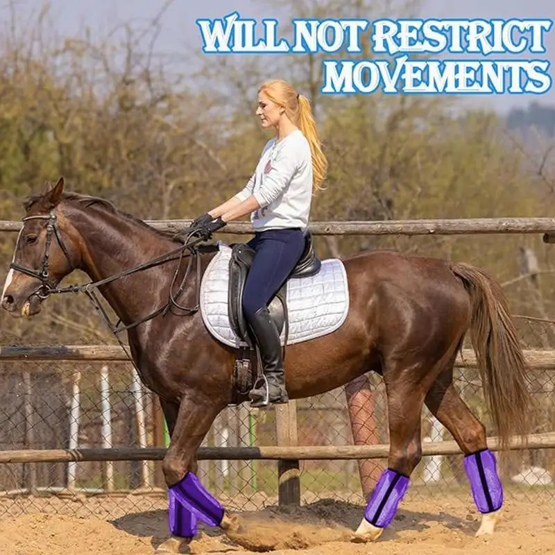 Fly Boots For Horses เลกกิ้งม้าที่สะดวกสบาย Fly Boot Mesh Horse Boots Ventilated Horse Fly Sheets Fly Leg Wraps For Daily