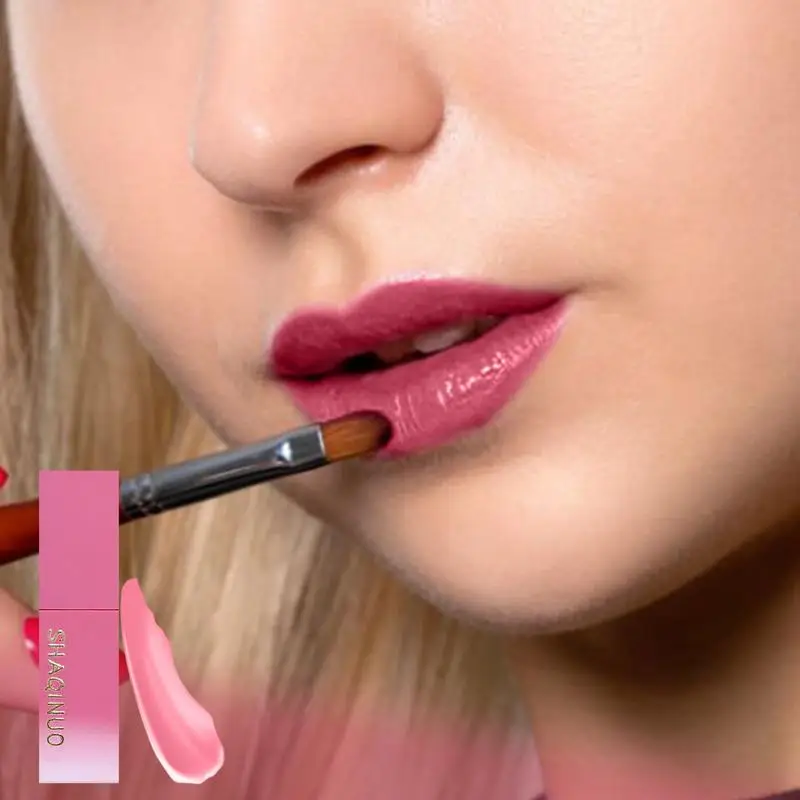 Lápiz labial líquido para el cuidado de los labios, productos cosméticos para viajes, citas y reuniones