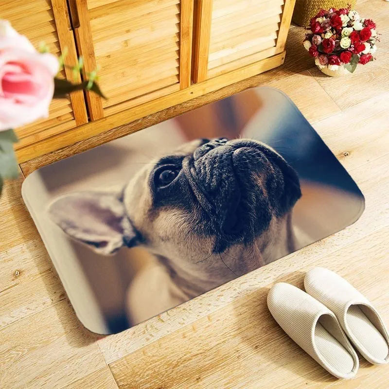 Thicken flannel soft doormat beautiful dogs photo printed home Decor floor carpet door mat hallway kitchen bathroom rugs 40x60cm